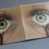 PRETTY THINGS - SAVAGE EYE - 