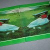 BANCO DEL MUTUO SOCCORSO - CAPOLINEA - ���������