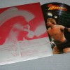 STAN HANSEN - VARIOUS (picture) - 