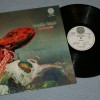 GENTLE GIANT - OCTOPUS - 