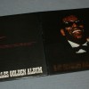 RAY CHARLES - RAY CHARLES GOLDEN ALBUM - 