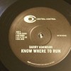 BARRY ADAMSON - KNOW WHERE TI RUN - 