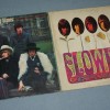 ROLLING STONES - FLOWERS (j) - 