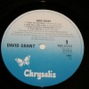 DAVID GRANT - DAVID GRANT (j) - 