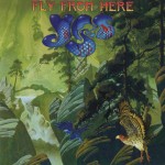 YES - FLY FROM HERE - 
