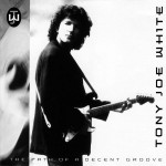 TONY JOE WHITE - THE PATH OF A DECENT GROOVE - 