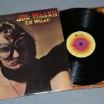 JOE WALSH - SO WHAT (j) - 