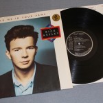 RICK ASTLEY - HOLD ME IN YOUR ARMS - 