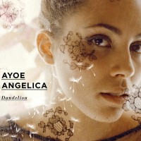 AYOE ANGELICA - DANDELION - 