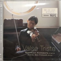 NARIMICHI KAWABATA , DANIEL-BEN PIENAAR - VALSE TRISTE - 