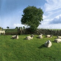 KLF - CHILL OUT - 