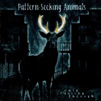 PATTERN-SEEKING ANIMALS - ONLY PASSING THROUGH - 