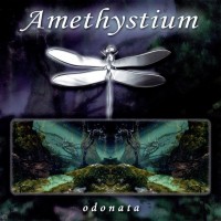 AMETHYSTIUM - ODONATA - 