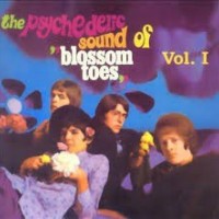 BLOSSOM TOES - WE ARE EVER SO CLEAN - 