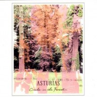 ASTURIAS - CIRCLE IN THE FOREST - 