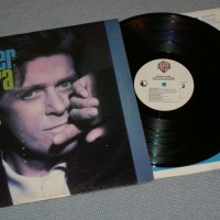 CHICAGO - PETER CETERA - SOLITUDE / SOLITAIRE - 