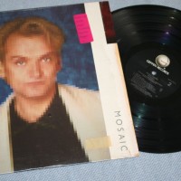 WANG CHUNG - MOSAIC - ���������