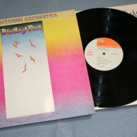 MAHAVISHNU ORCHESTRA - BIRDS OF FIRE (j) - 