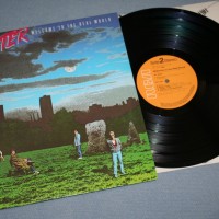 MR. MISTER - WELCOME TO THE REAL WORLD (j) - 