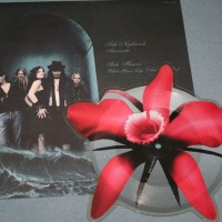 NIGHTWISH - AMARANTH (single) (pictire) - 