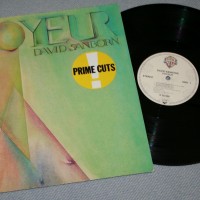 DAVID SANBORN (with Marcus Miller) - VOYEUR - 