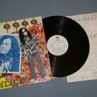 DAVID LINDLEY (KALEIDOSCOPE) - MR.DAVE (j) - 