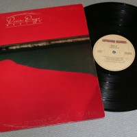 DIXIE DREGS - WHAT IF - 