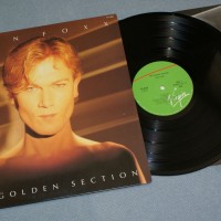 JOHN FOXX - THE GOLDEN SECTION (j) - 