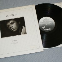 DAVID GRANT - HOPES AND DREAMS - 