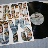 BEACH BOYS - THE BEACH BOYS (j) - ���������
