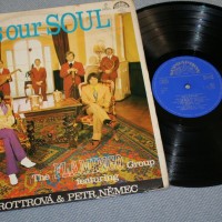 FLAMINGO GROUP FEATURING MARIE ROTTROVA & PETR NEMEC - THIS IS OUR SOUL - ���������