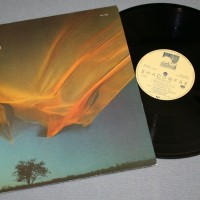 SHADOWFAX - SHADOWDANCE - 