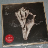 ROBERT PLANT AND THE SENSATIONAL SPACE SHIFTERS - LULLABY AND... THE CEASELESS ROAR (2LP+CD) - 