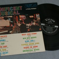 MAGNIFICENT OF MUSICAL - VARIOUS - 