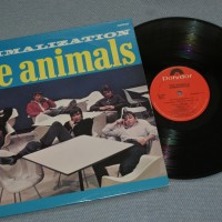 ANIMALS - ANIMALIZATION - 