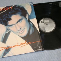 DAVID HASSELHOFF - DAVID - 