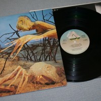 DIXIE DREGS - DREGS OF THE EARTH (Steve Morse) - 