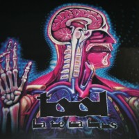 TOOL - LATERALUS - 