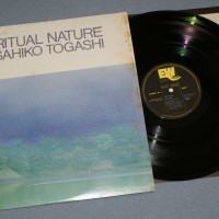 MASAHIKO TOGASHI - SPIRITUAL NATURE - 