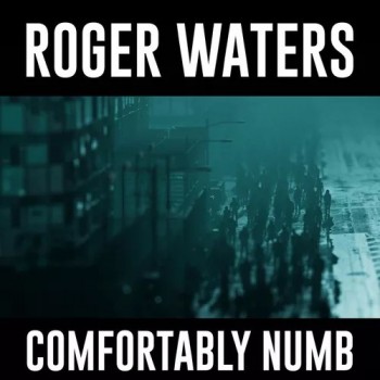 ROGER WATERS - COMFORTABLY NUMB - 