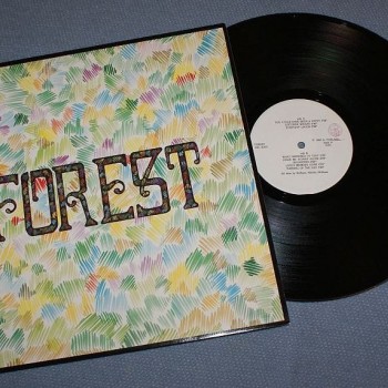 FOREST - FOREST - 