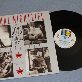 ANIMAL NIGHTLIFE - IN BOYS WITH THE BEST INTENTIONS (single) - 